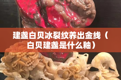 建盞白貝冰裂紋養(yǎng)出金線（白貝建盞是什么釉）