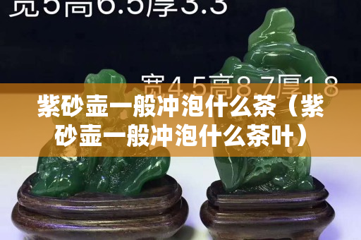 紫砂壺一般沖泡什么茶（紫砂壺一般沖泡什么茶葉）