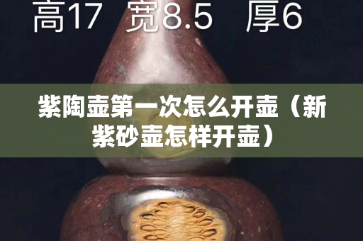 紫陶壺第一次怎么開壺（新紫砂壺怎樣開壺）
