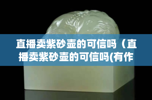直播賣紫砂壺的可信嗎（直播賣紫砂壺的可信嗎(有作品老師在現(xiàn)場(chǎng))）