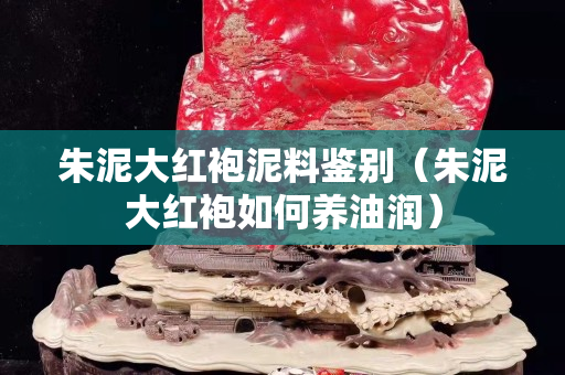 朱泥大紅袍泥料鑒別（朱泥大紅袍如何養油潤）