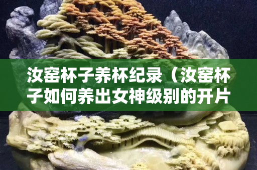 汝窯杯子養杯紀錄（汝窯杯子如何養出女神級別的開片）