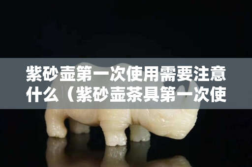 紫砂壺第一次使用需要注意什么（紫砂壺茶具第一次使用）