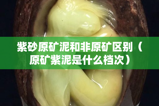 紫砂原礦泥和非原礦區(qū)別（原礦紫泥是什么檔次）