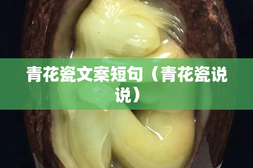 青花瓷文案短句（青花瓷說說）