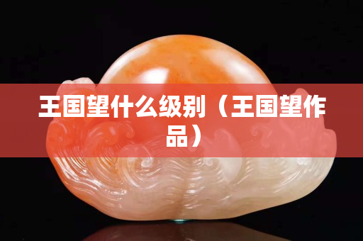 王國望什么級別（王國望作品）