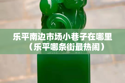 樂平南邊市場小巷子在哪里（樂平哪條街最熱鬧）