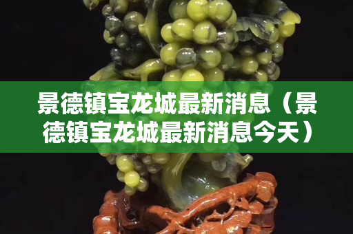 景德鎮寶龍城最新消息（景德鎮寶龍城最新消息今天）