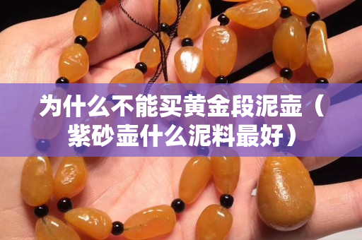 為什么不能買黃金段泥壺（紫砂壺什么泥料最好）