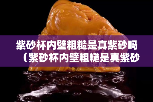 紫砂杯內壁粗糙是真紫砂嗎（紫砂杯內壁粗糙是真紫砂嗎圖片）