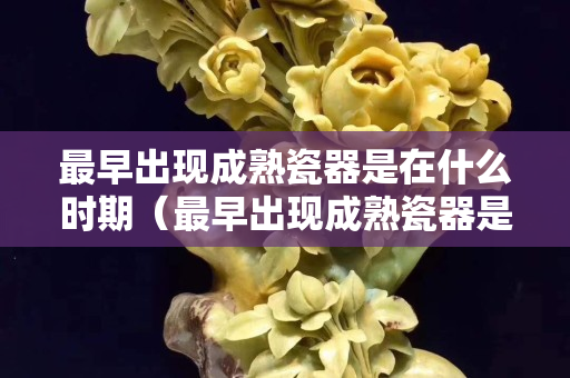 最早出現成熟瓷器是在什么時期（最早出現成熟瓷器是在什么時期出現的）