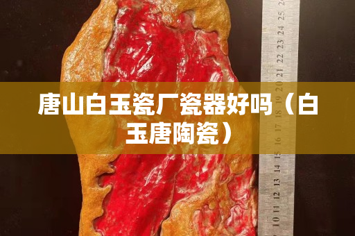 唐山白玉瓷廠瓷器好嗎(白玉唐陶瓷) 唐山白玉瓷廠瓷器好嗎(白玉唐陶瓷)
