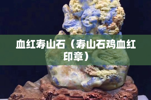 血紅壽山石（壽山石雞血紅印章）