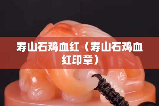 壽山石雞血紅(壽山石雞血紅印章) 壽山石雞血紅(壽山石雞血紅印章)