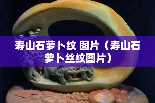 壽山石蘿卜紋 圖片（壽山石蘿卜絲紋圖片）