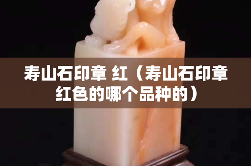 壽山石印章 紅(壽山石印章紅色的哪個品種的) 壽山石印章 紅(壽山石印章紅色的哪個品種的)