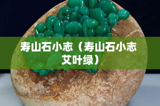壽山石小志（壽山石小志 艾葉綠）