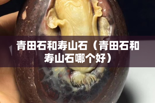青田石和壽山石（青田石和壽山石哪個好）
