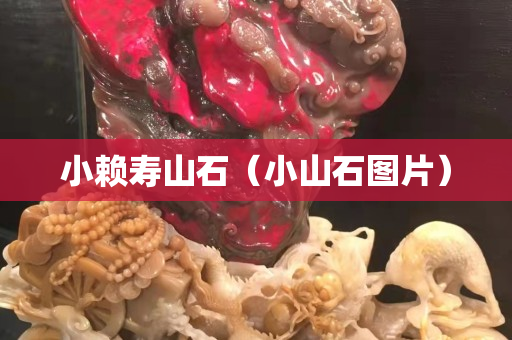 小賴壽山石（小山石圖片）
