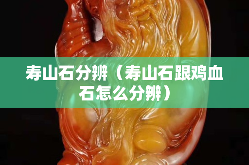壽山石分辨（壽山石跟雞血石怎么分辨）