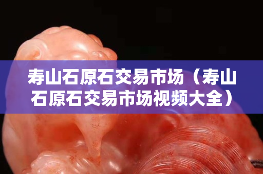 壽山石原石交易市場（壽山石原石交易市場視頻大全）
