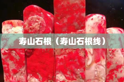 壽山石根(壽山石根線) 壽山石根(壽山石根線)