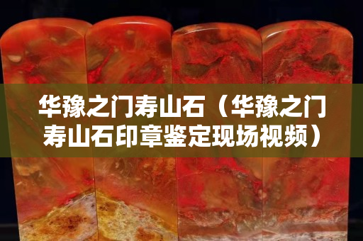 華豫之門壽山石（華豫之門壽山石印章鑒定現(xiàn)場視頻）