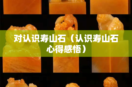 對認識壽山石（認識壽山石心得感悟）
