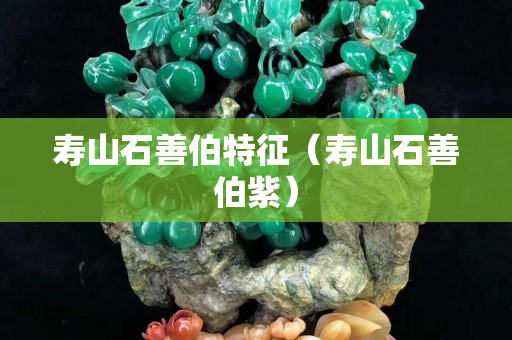 壽山石善伯特征（壽山石善伯紫）