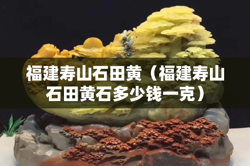 福建壽山石田黃（福建壽山石田黃石多少錢一克）