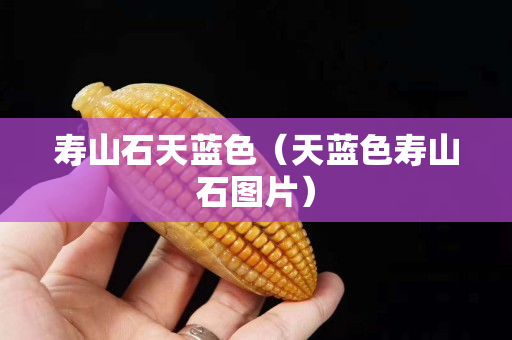 壽山石天藍(lán)色（天藍(lán)色壽山石圖片）