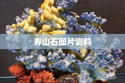 壽山石圖片資料 壽山石圖片資料