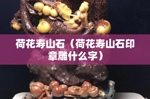 荷花壽山石（荷花壽山石印章雕什么字）