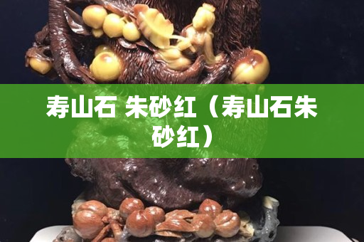 壽山石 朱砂紅（壽山石朱砂紅）