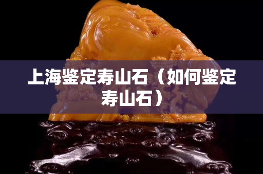 上海鑒定壽山石(如何鑒定壽山石) 上海鑒定壽山石(如何鑒定壽山石)