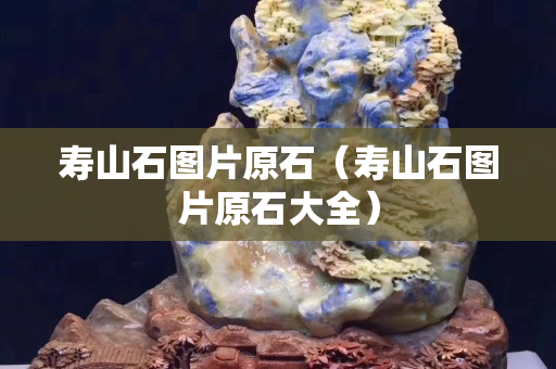 壽山石圖片原石（壽山石圖片原石大全）