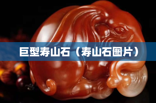 巨型壽山石（壽山石圖片）