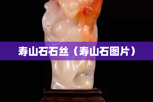 壽山石石絲(壽山石圖片) 壽山石石絲(壽山石圖片)