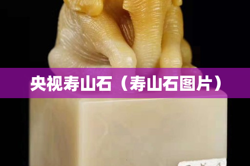 央視壽山石(壽山石圖片) 央視壽山石(壽山石圖片)