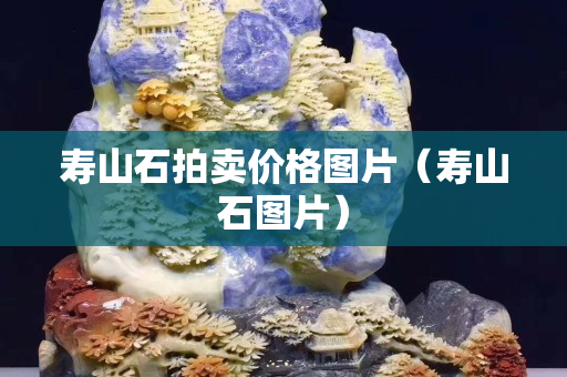 壽山石拍賣價格圖片（壽山石圖片）