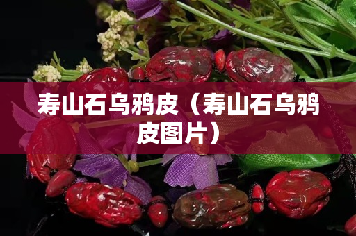 壽山石烏鴉皮(壽山石烏鴉皮圖片) 壽山石烏鴉皮(壽山石烏鴉皮圖片)