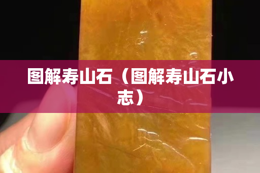 圖解壽山石（圖解壽山石小志）