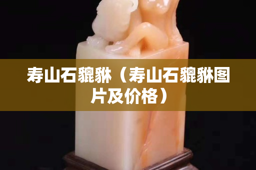 壽山石貔貅（壽山石貔貅圖片及價格）