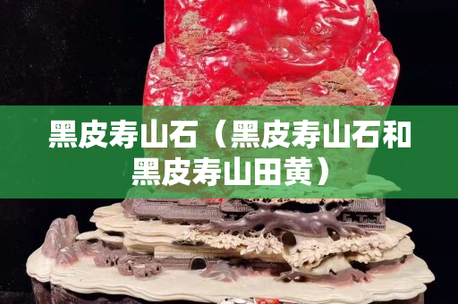 黑皮壽山石（黑皮壽山石和黑皮壽山田黃）