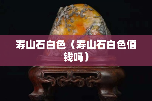 壽山石白色（壽山石白色值錢嗎）