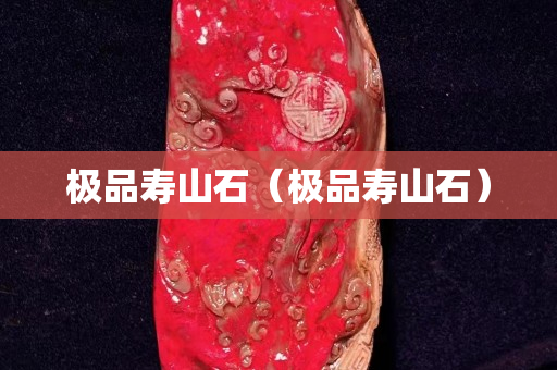 極品壽山石（極品壽山石）