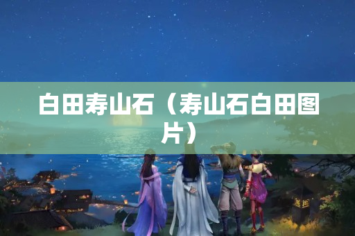 白田壽山石(壽山石白田圖片) 白田壽山石(壽山石白田圖片)