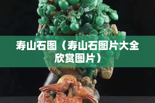 壽山石圖(壽山石圖片大全欣賞圖片) 壽山石圖(壽山石圖片大全欣賞圖片)