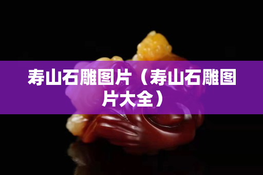 壽山石雕圖片（壽山石雕圖片大全）