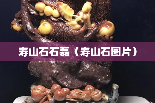 壽山石石磊（壽山石圖片）